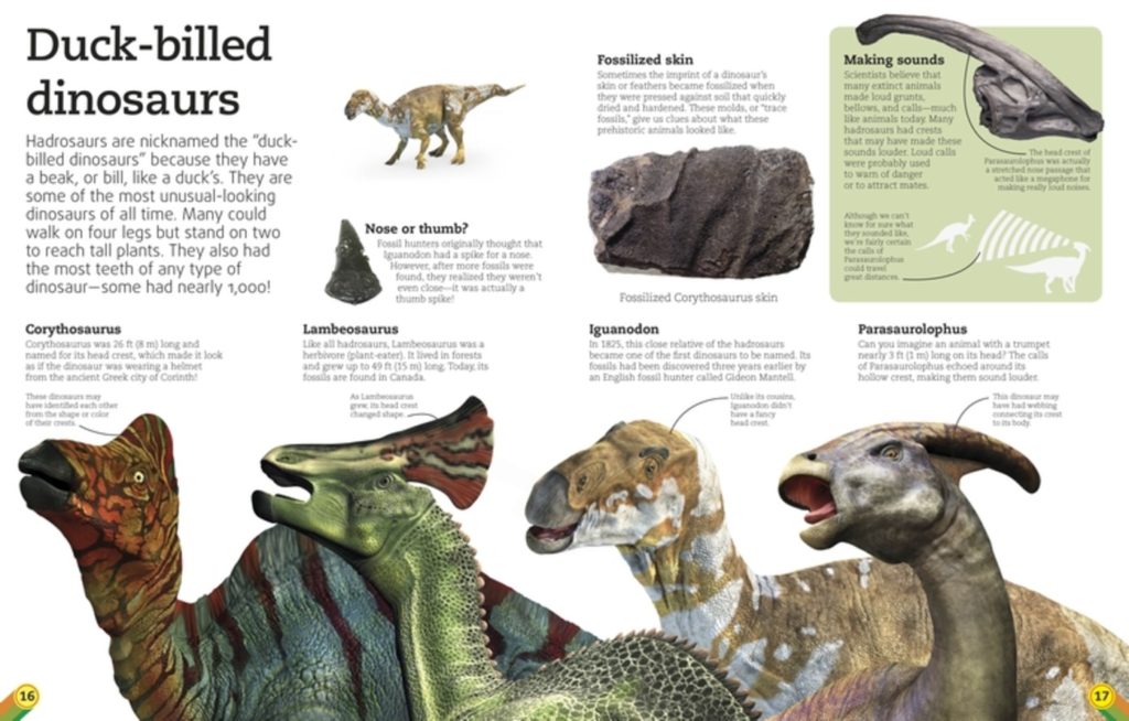 Utterly Amazing Dinosaur Book Review