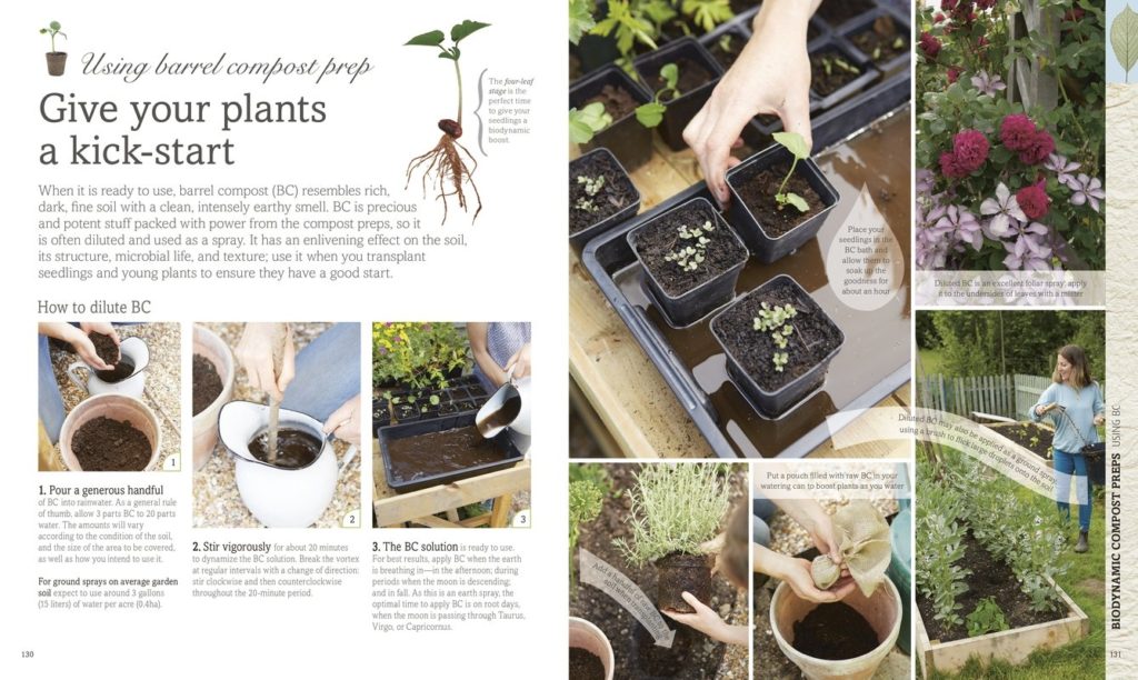 Biodynamic Gardening #DKCanada Book Review
