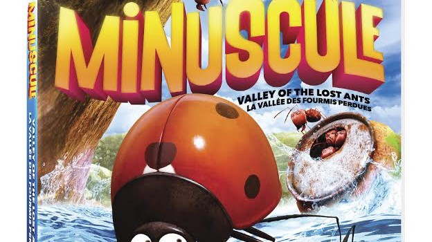 Minuscule: Valley of the Lost Ants