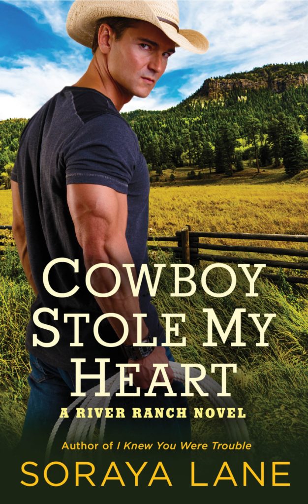 Cowboy Stole My Heart Book Review