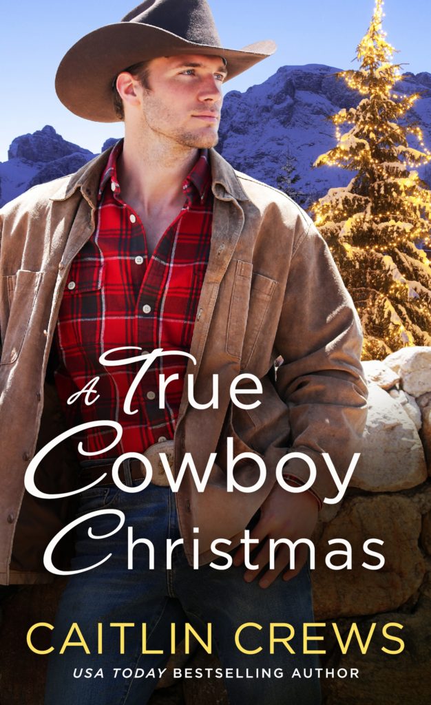 A True Cowboy Christmas Book Review